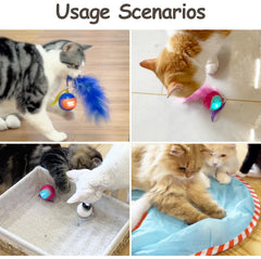 Migipaws design anti-emmêlage-poils évite les nœuds et facilite le nettoyage