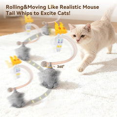 Migipaws Migimouse avec yeux réalistes attire l attention du chat