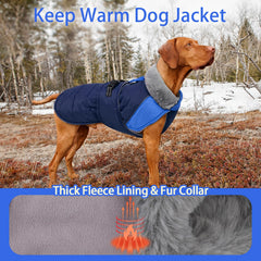 MIGOHI bande réfléchissante sur manteau hivernal pour chien moyen