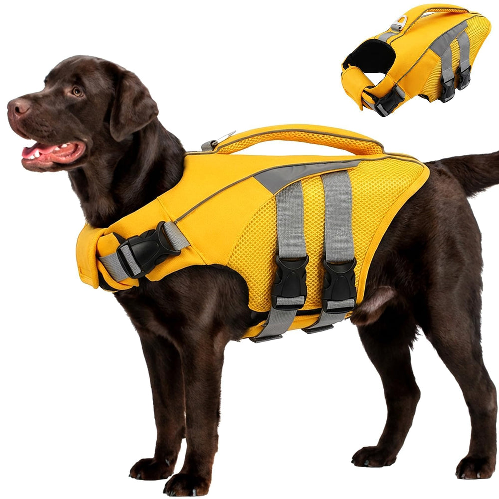 MIGOHI gilet-sauvetage-chien haute flottation, pour natation sécurisée.