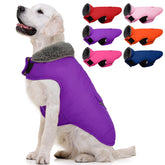 MIGOHI manteau chien hiver doux, chaleur durable pour les promenades froides
