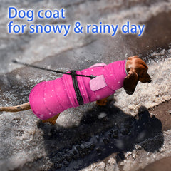 MIGOHI manteau chien polaire douce, confort optimal en hiver.