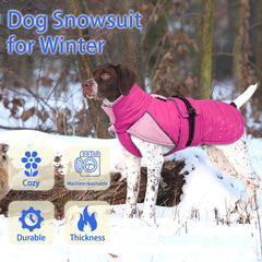 MIGOHI manteau hivernal réfléchissant pour chien, meilleure visibilité.
