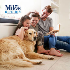 Sans artificiels et sans charges inutiles pour chien