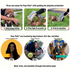 Milunova Pupr Pals, gorge avec sifflet caché, stimule l’instinct de proie du chien et du chat
