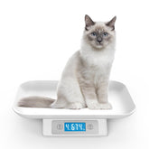 MINDPET-MED Balance pour petit chat sur plateau, pesée précise.