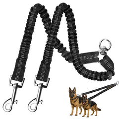 MingXpets laisse double-chien 360 tour: contrôle fluide et sans torsion pour deux chiens.