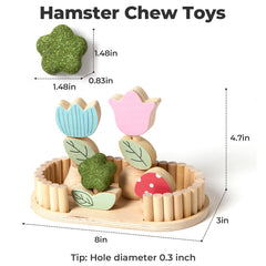mini&moe - fleurs comestibles hamster: enrichment sensoriel et friandise naturelle.