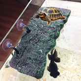 Minidiva Plateforme-baignade-terrasse: espace sûr pour tortue, parfait pour se reposer et grimper.