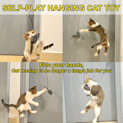MintCat jouet chat pendu sur porte pour jeu autonome.