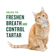 Minties controle plaque chat pour dents propres.