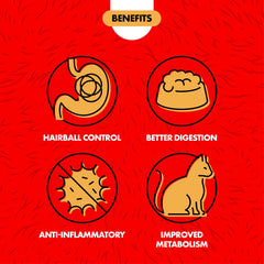 Miracle Care Herbe Chat Verte Fraiche: herbe naturelle pour chats.