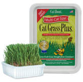 Miracle Care Kit Herbe Chat Interieur: pousse rapide et goût frais.