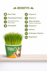 Mister Green Pet Kit: substrat biodégradable favorisant une culture domestique sûre