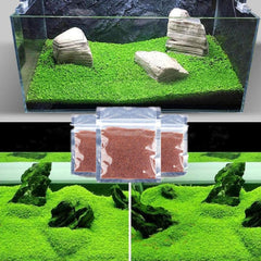 MISUHALOU Dwarf Leaf S.e.e.ds, tapis d’aquarium en feuilles miniatures, beautifie l’aquarium.