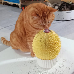 Miwoowim alimentateur à cataire pour chat jaune, stimulant le jeu et l’attention.