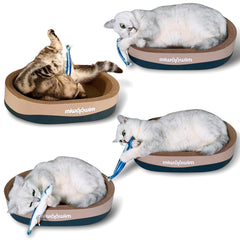Miwoowim poisson-chat-herbe-a-chat-et-aromes: attire au jeu et stimule le réflexe de chasse.