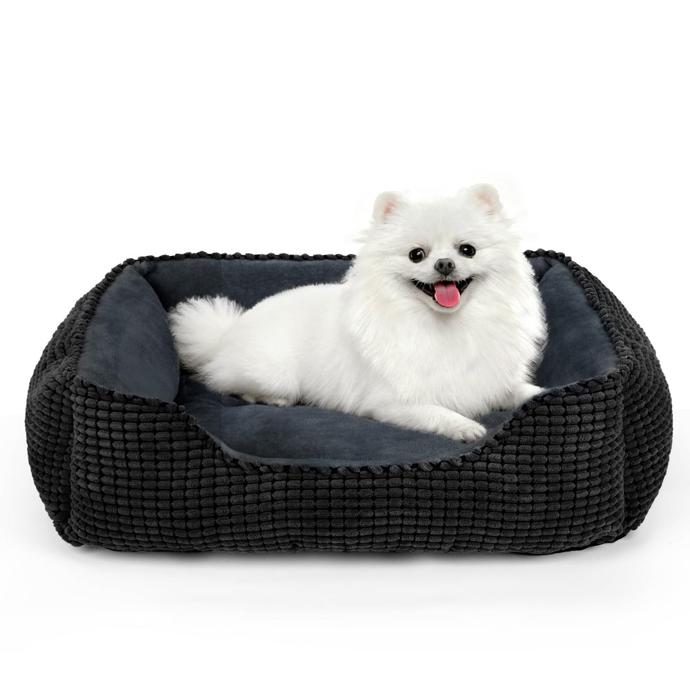 MIXJOY lit chien rectangle moyen, vue avant, confort repos assuré