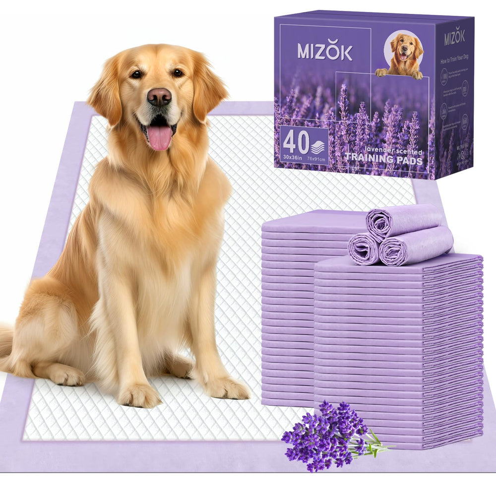 Tapis absorbants Mizok 30x36 po avec lavande pour chiens, absorption élevée et confort.