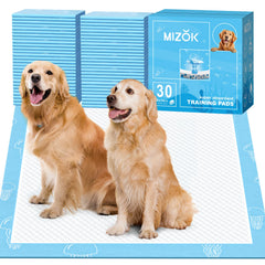 MIZOK tapis formation chien, motif meduse bleue, favorise apprentissage propre et ludique