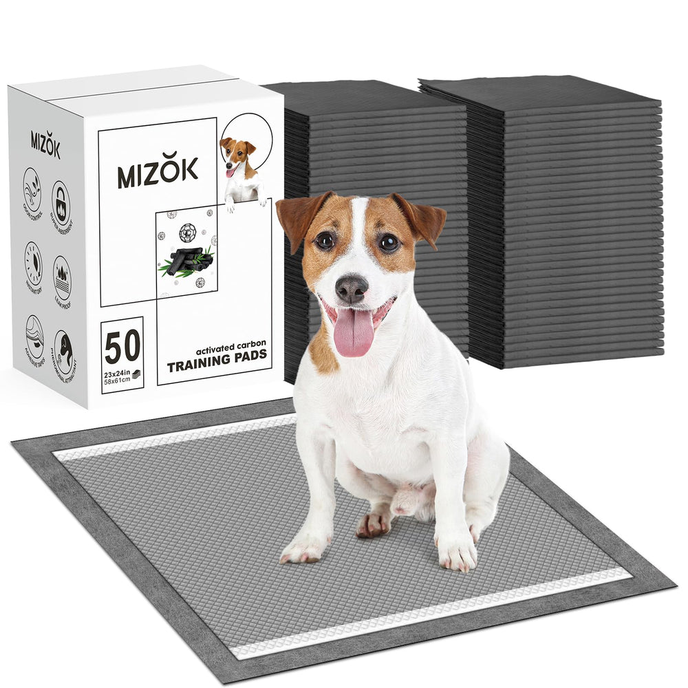 Mizok Tapis-pipi 23x24 pour chien, absorption fiable jusqu'à 4 tasses.