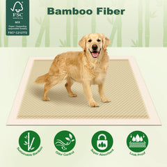 MIZOK Tapis Pipi chien, coins adhésifs visibles pour sécuriser le tapis.