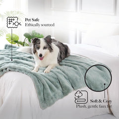 Modern Threads sur canapé; lieu idéal pour câlins de chien.
