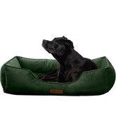 Lit chien Modern Threads en velours vert forêt pour repos luxueux.