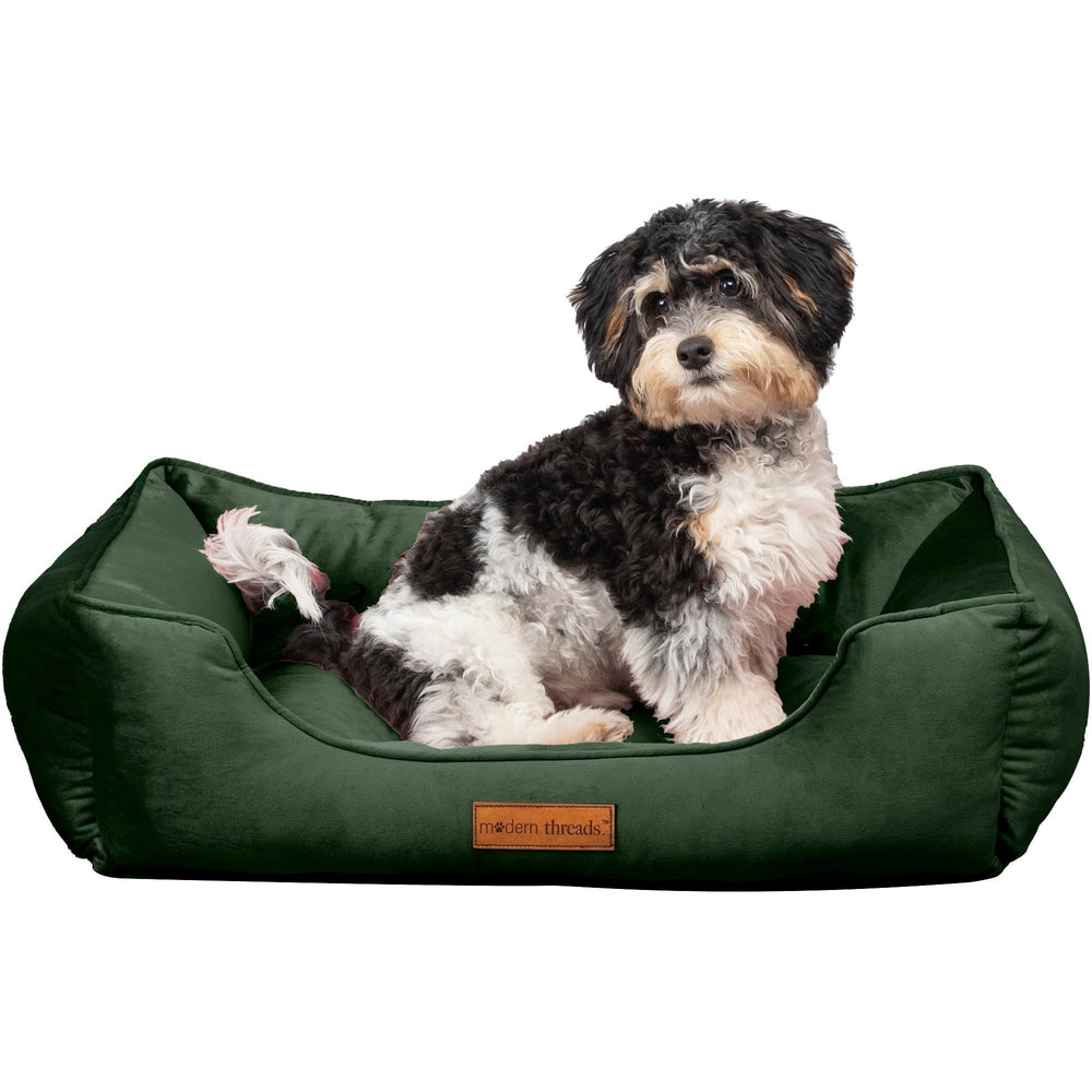 Lit Modern Threads en velours tufté, couchage douillet pour chien.
