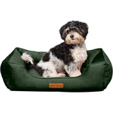 Lit Modern Threads en velours tufté, couchage douillet pour chien.