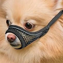 MoiiLavin museau doux en maillage pour petit chien XXS, confort immédiat
