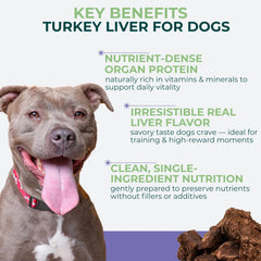 Récompense d'entraînement savoureuse au foie de dinde pour chien Momentum Carnivore.