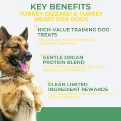 Momentum Carnivore Nutrition – chien en entraînement recevant des friandises lyophilisées