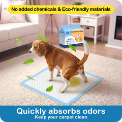 MoMoCo Tapis Chiot usage quotidien: s'intègre au décor intérieur