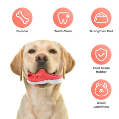 MONDOTOY – jouet interactif pour chien, engagement mental et physique.