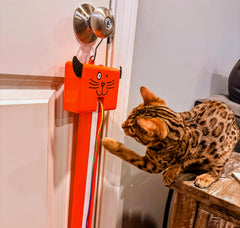 Deux vitesses pour chats actifs et relaxés avec Moody Pet