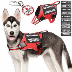MOOGROU gilet service chien – vue avant, mise en place rapide et confort
