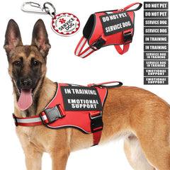 Harnais MOOGROU pour chien de service avec poignée pour un contrôle en toute sécurité.