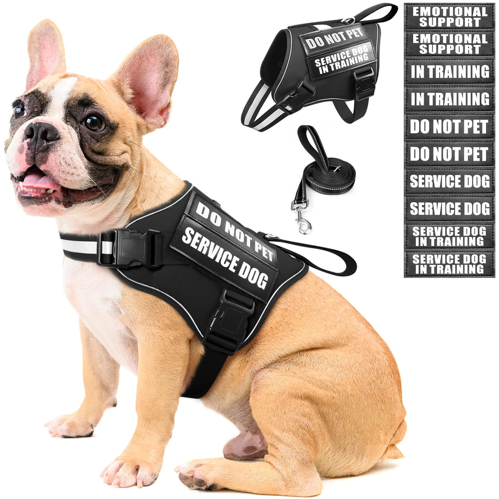 Harnais MOOGROU et laisse pour chien, ensemble pratique pour l'entraînement quotidien.