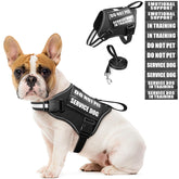 MOOGROU harnais-service-chien et laisse, ensemble pratique pour l'entraînement et les sorties.