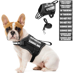 MOOGROU harnais-service-chien et laisse, ensemble pratique pour l'entraînement et les sorties.