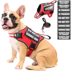 Harnais MOOGROU pour chien de service rouge avec visibilité accrue.