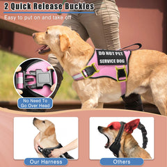 MOOGROU patches-service-chien: 10 patches affichant les infos lors de l'entraînement.