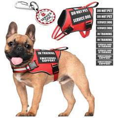 MOOGROU gilet d’assistance pour chien avec poignée et patchs voyants, pratique et sûr.