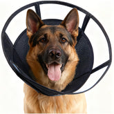 MoonyMars cone doux pour chien XL, favorise un rétablissement sans stress.