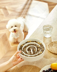 MOPANG bol puzzle stimulant pour chien pendant le repas