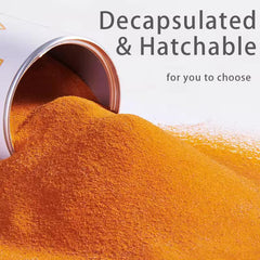 MorexLab texture fine: oeufs decapes faciles a preparer pour nourrir rapidement les poissons
