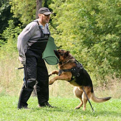 Morezi baton dressage chien morsure, guidage et contrôle facilités.