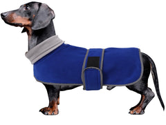 Manteau Morezi pour teckel bleu avant, chaleur confortable lors des sorties