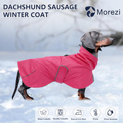 Manteau Morezi avec sangles reglables, ajuste facilement pour teckel.